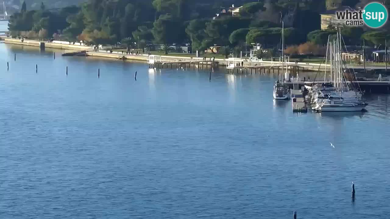 Camera en vivo Portorož – Panorama