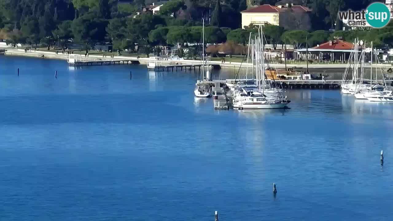 Live Cam Portorož – Panorama