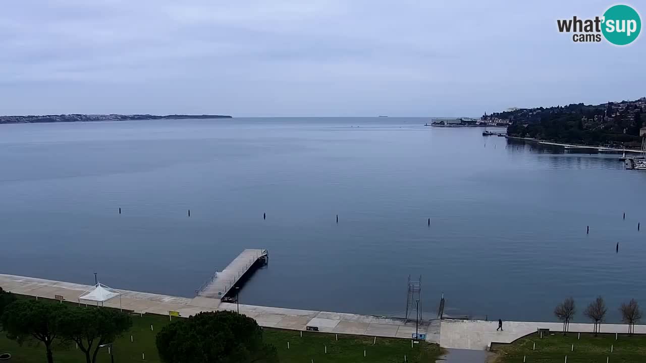 Live Cam Portorož – Panorama