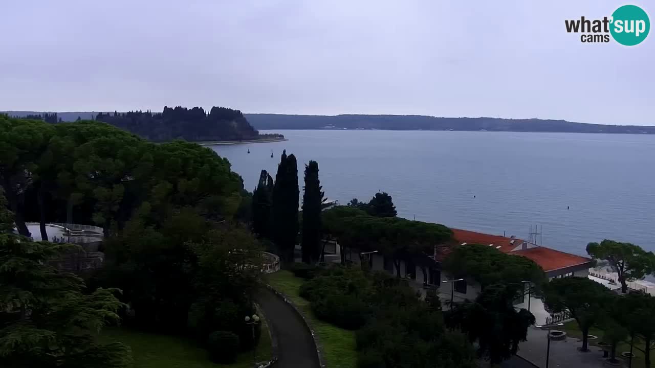 Live Cam Portorož – Panorama