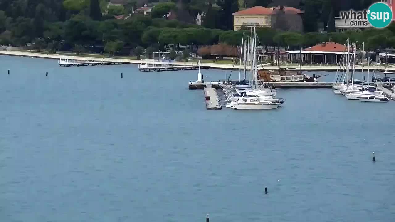 Camera en vivo Portorož – Panorama