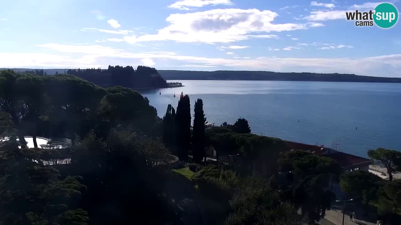 Live cam Portorož  Panorama