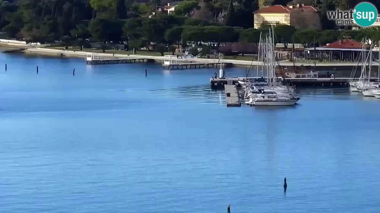 Portorož – panorama webcam