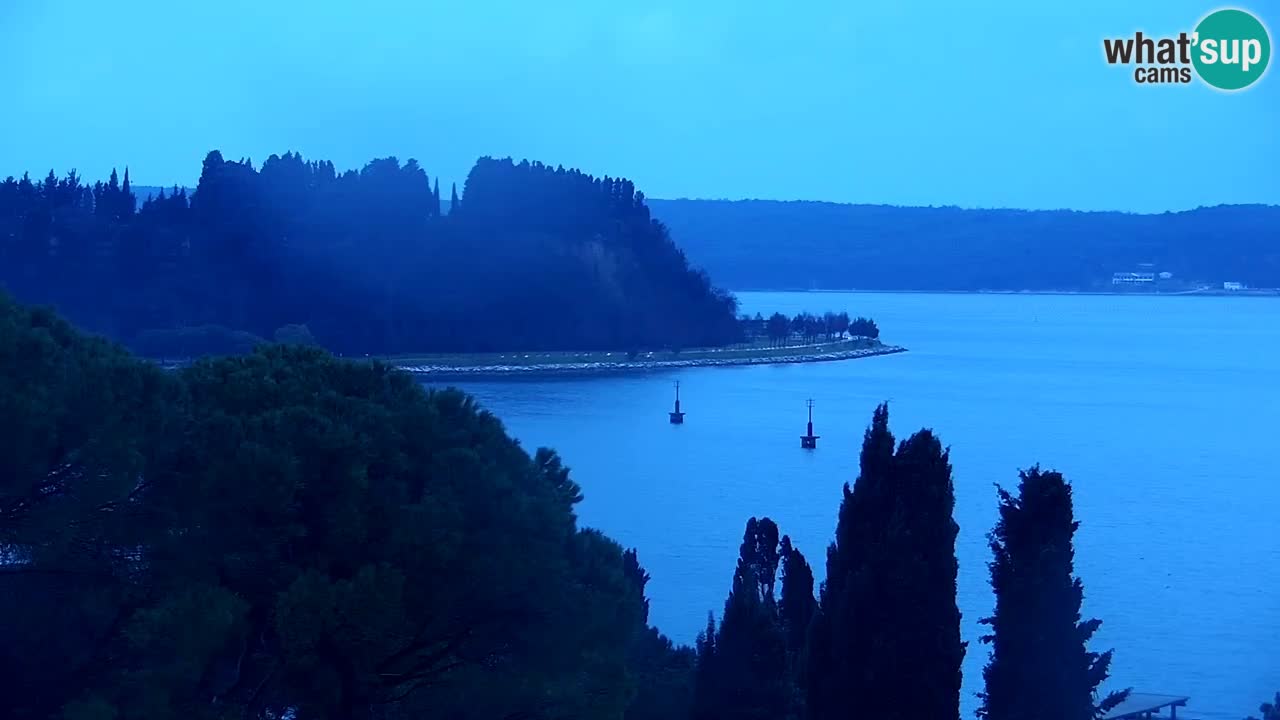 Kamera v živo Portorož – Panorama