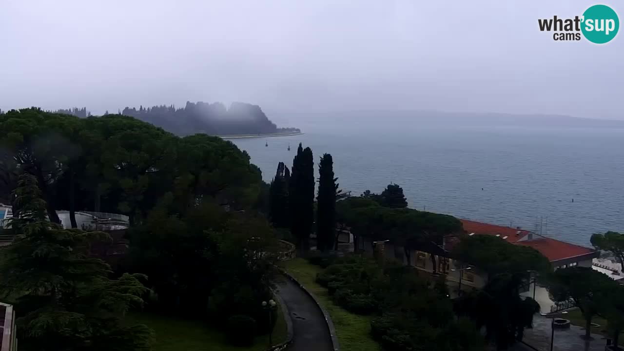 Live cam Portorož  Panorama