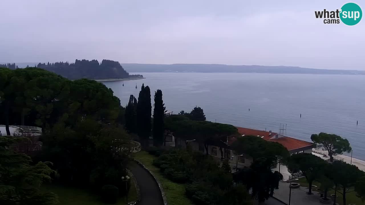 Portorož – panorama webcam