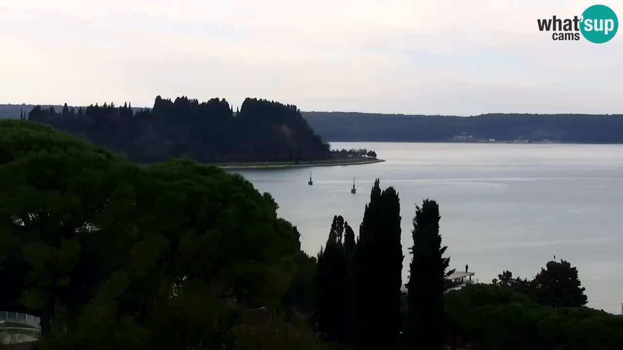 Webcam Plage Portorož – Bungalow