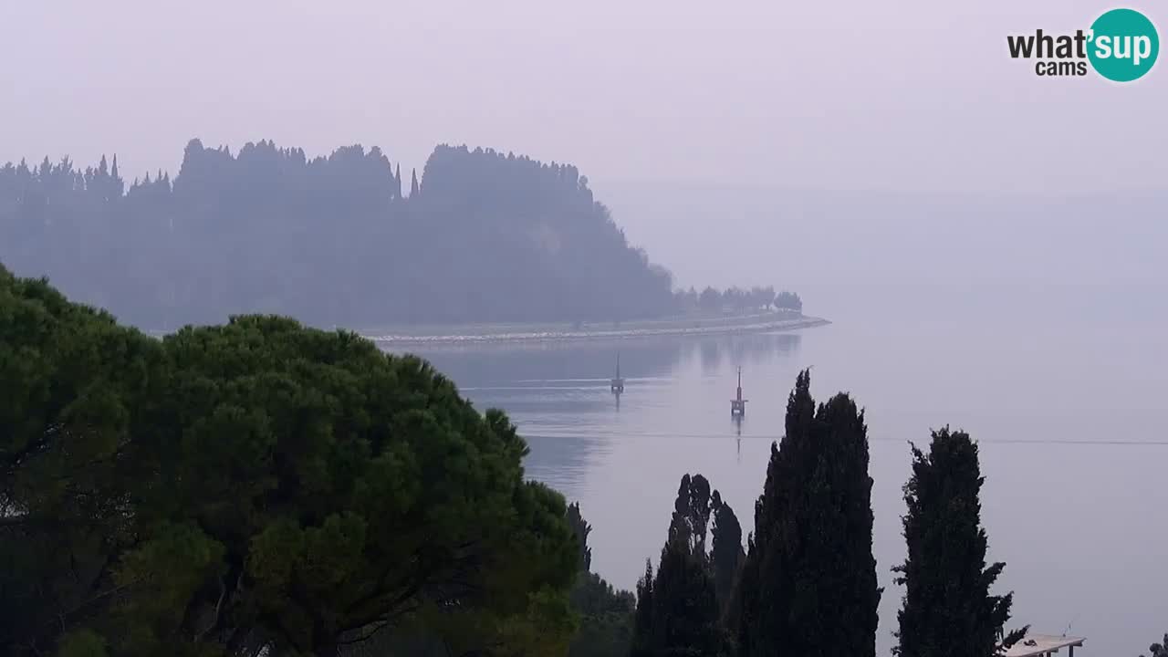 Live Webcam Portorose – Panorama