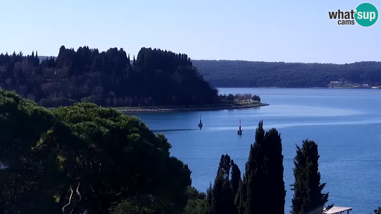 Portorož – panorama webcam