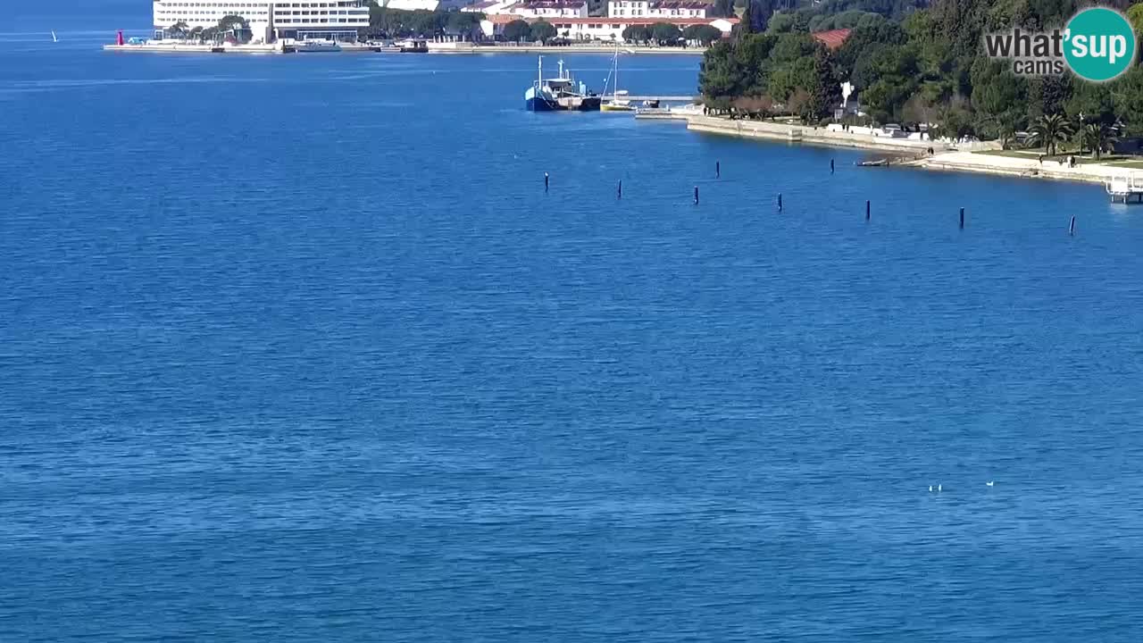 Kamera v živo Portorož – Panorama