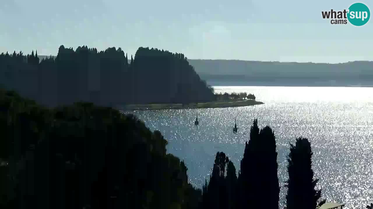 Portorož – panorama webcam