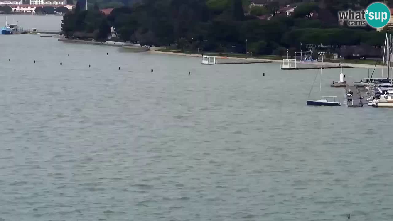 Live Cam Portorož – Panorama