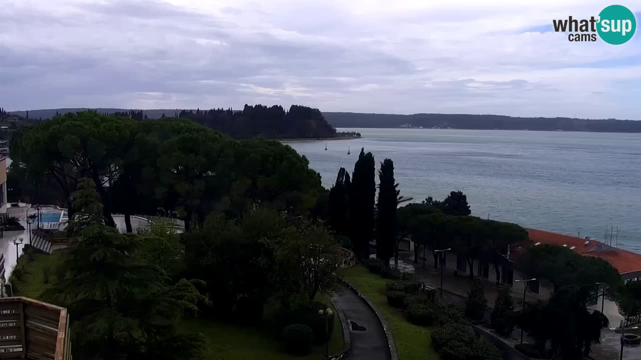 Webcam Portorož – Panorama