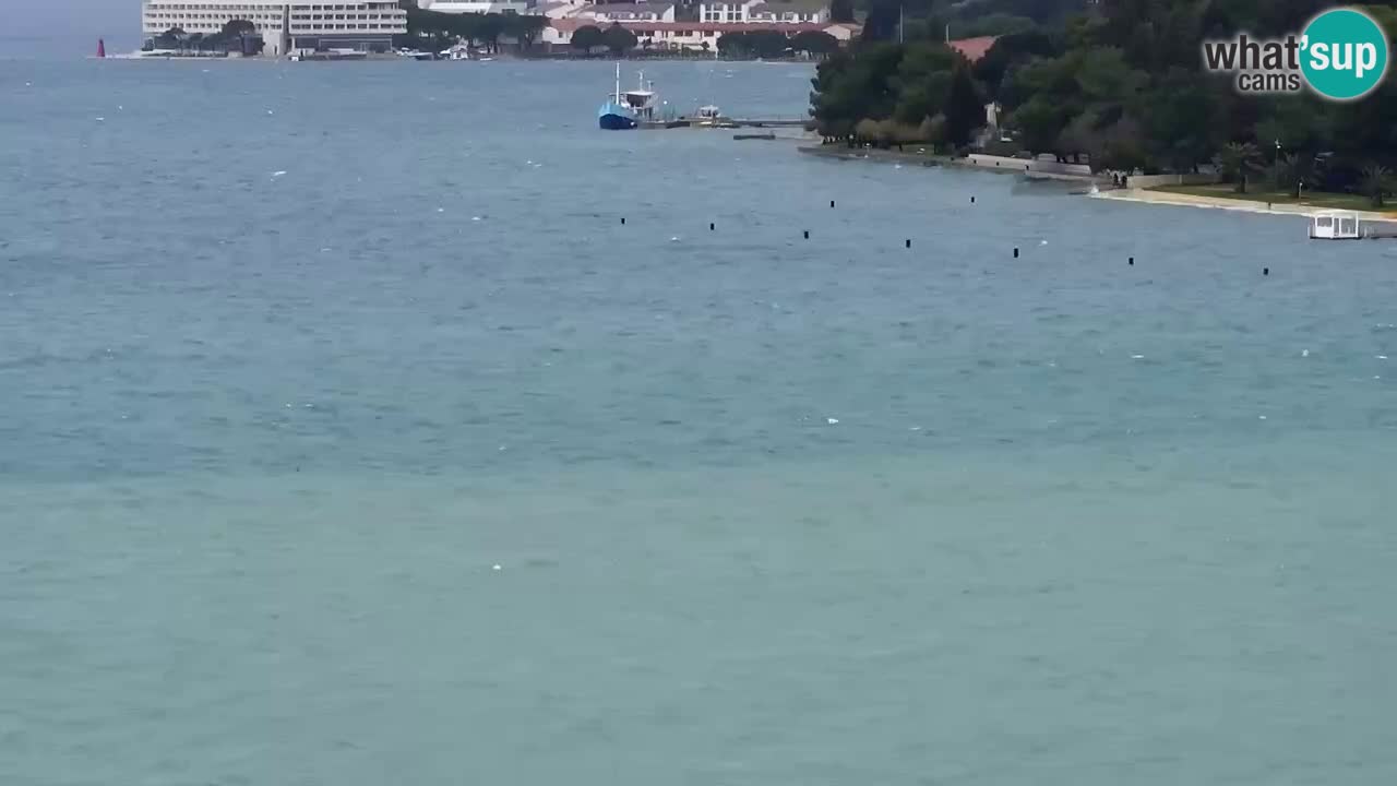 Live cam Portorož  Panorama