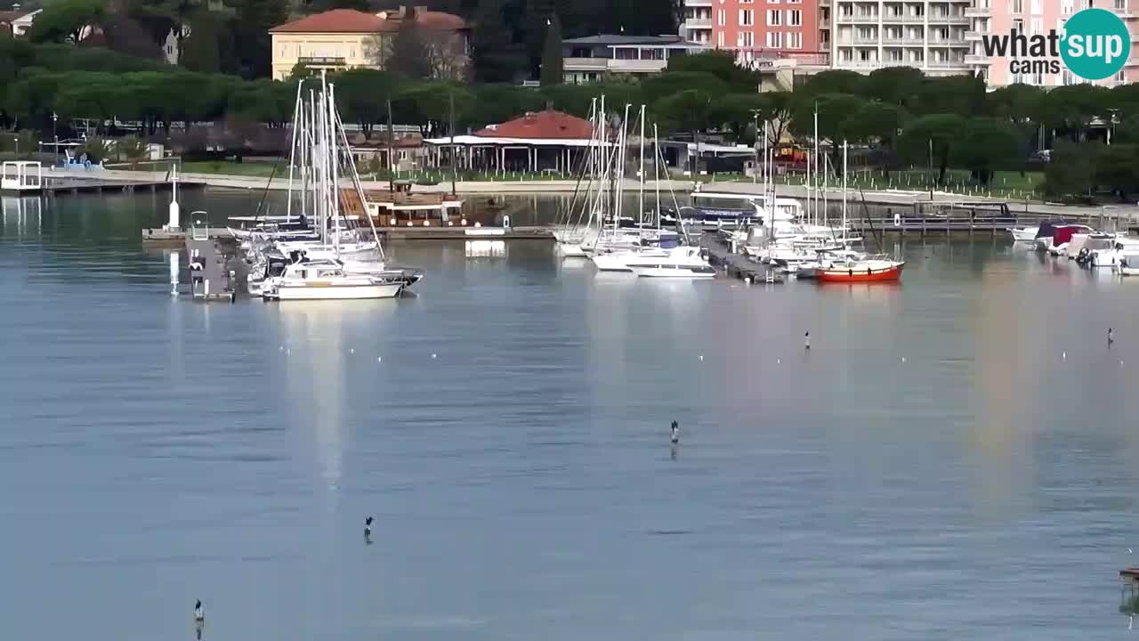 Camera en vivo Portorož – Panorama