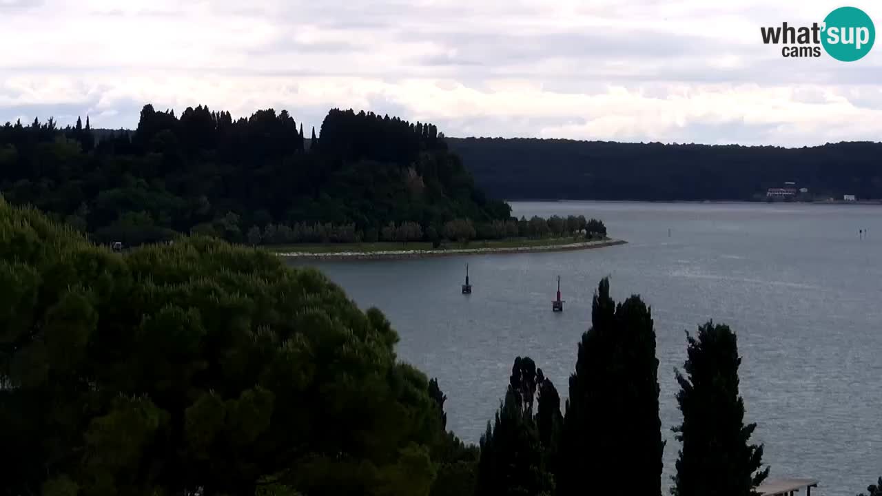 Portorož – panorama