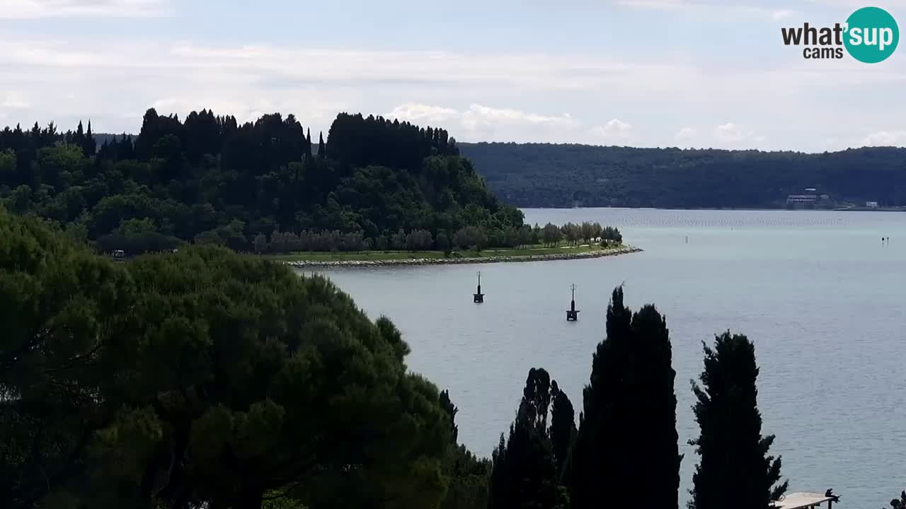 Portorož – Panorama