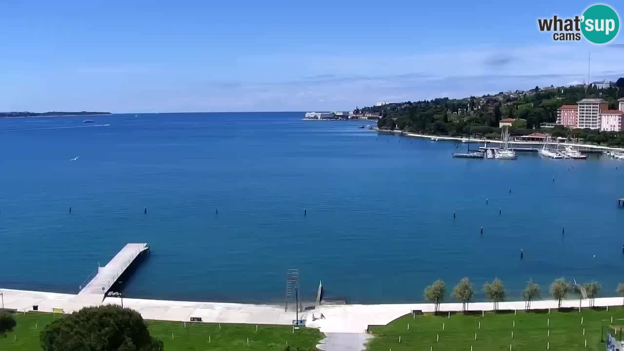 Kamera v živo Portorož – Panorama