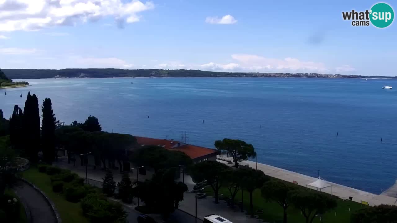 Live cam Portorož  Panorama