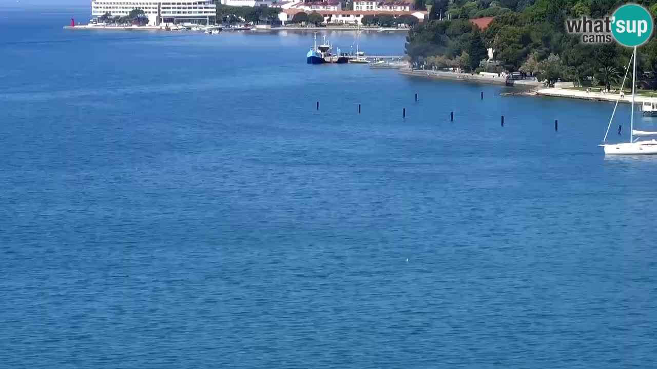 Web Kamera Portorož – Panorama