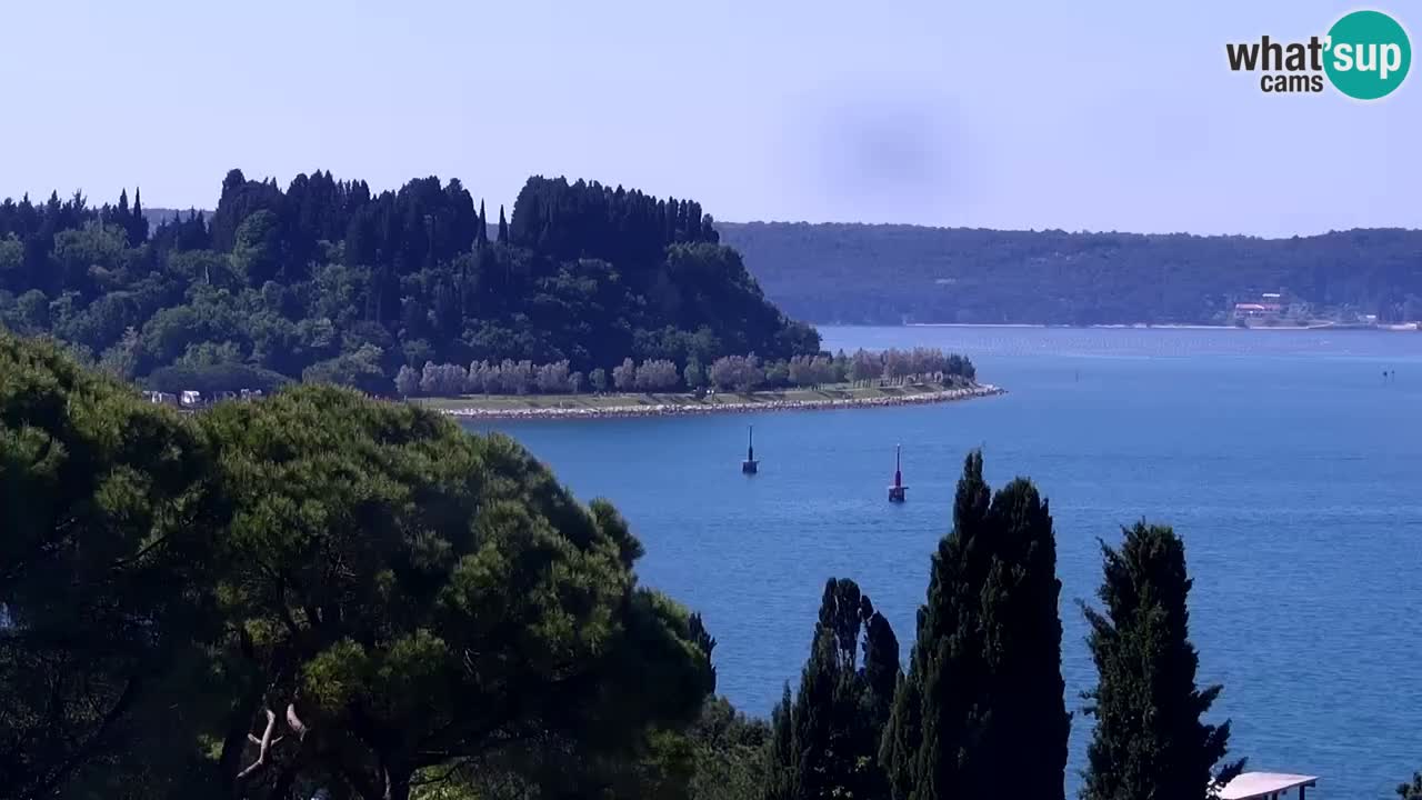 Live cam Portorož  Panorama