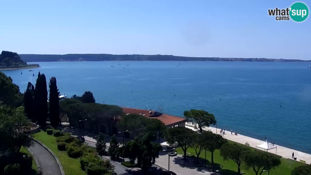 Webcam Portorož – Panorama
