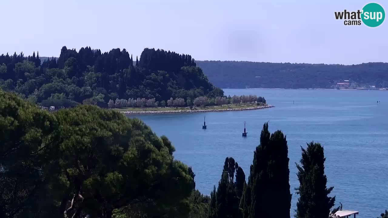 Webcam spiaggia Portorose – Vista dal ristorante Bungalow