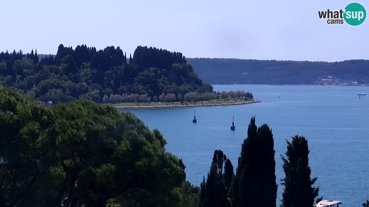 Portorož – panorama webcam