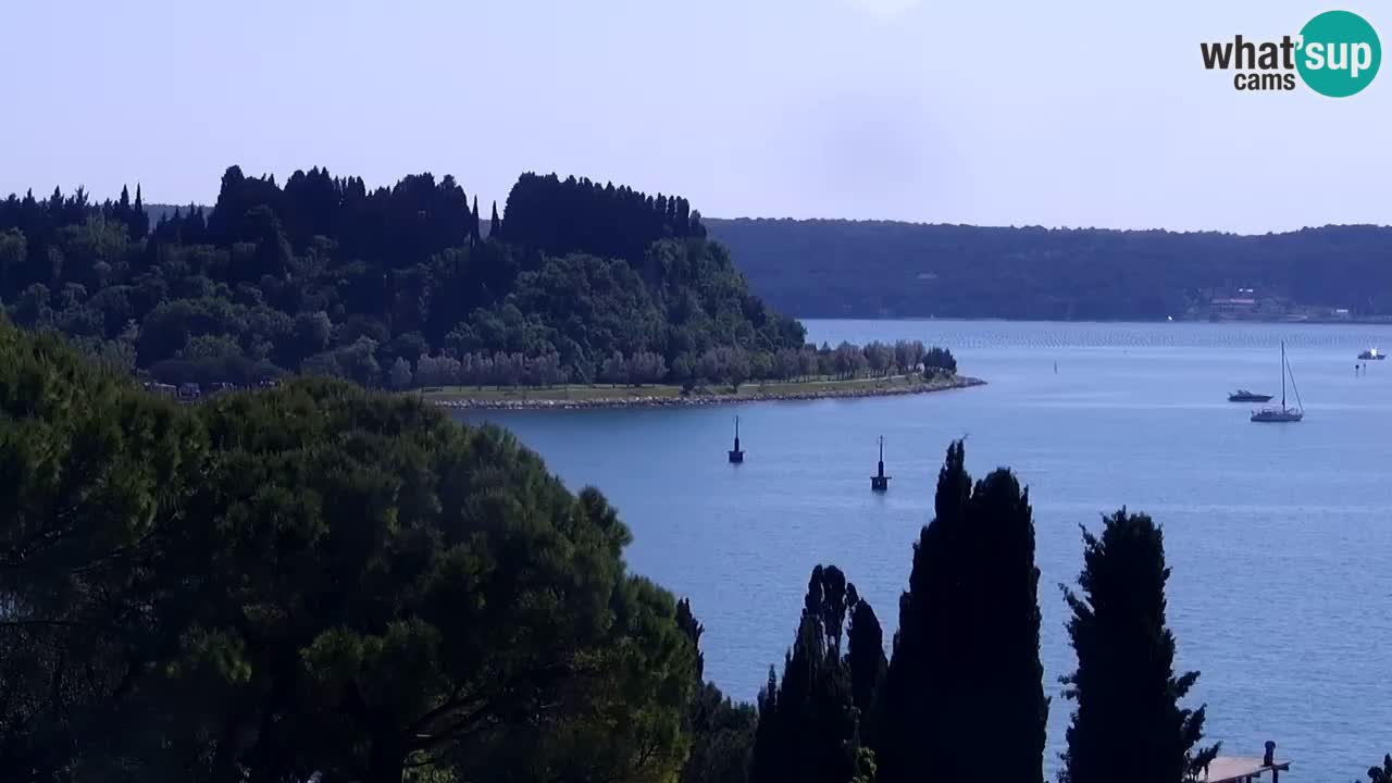 Webcam spiaggia Portorose – Vista dal ristorante Bungalow