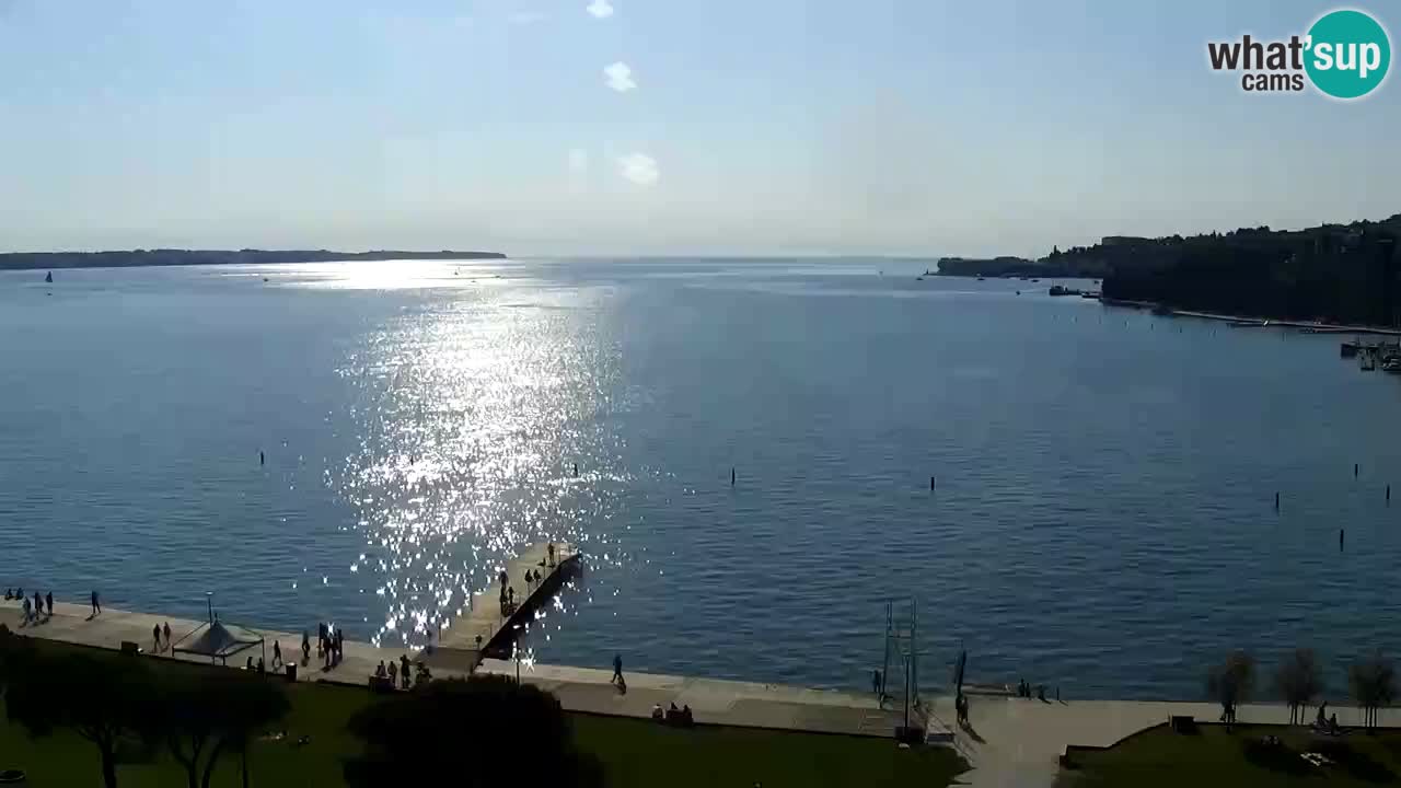 Portorož – panorama webcam
