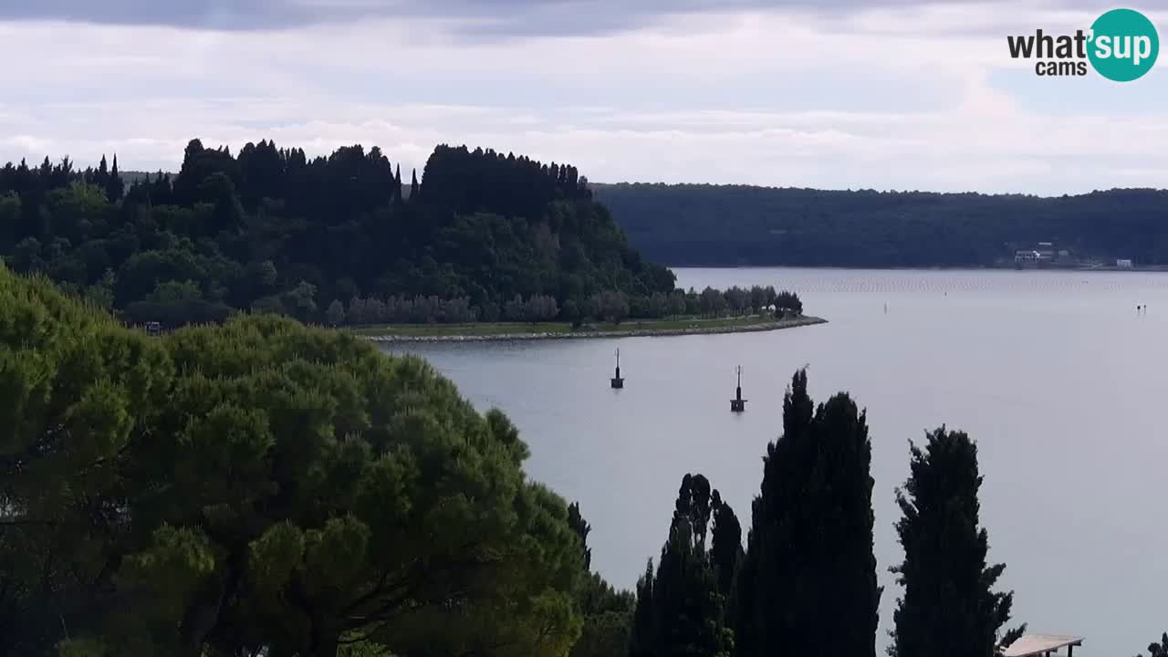 Webcam Live Portorož Strand – Bungalow