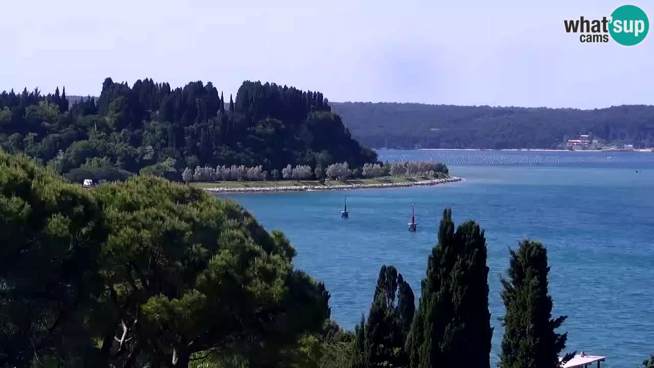 Webcam Portorož – Panorama