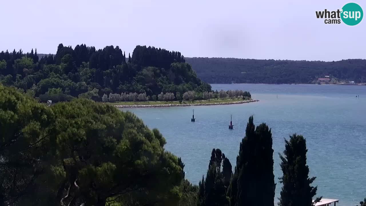 Web kamera Portorož plaža