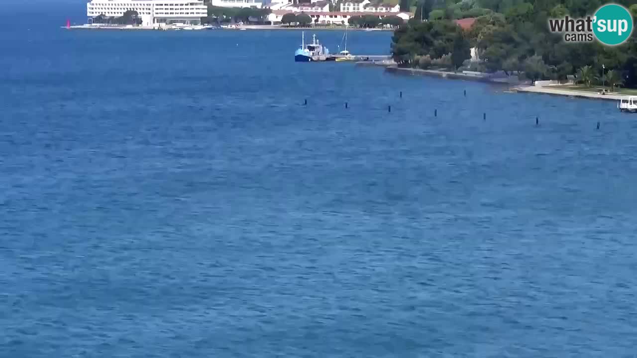Kamera v živo Portorož – Panorama