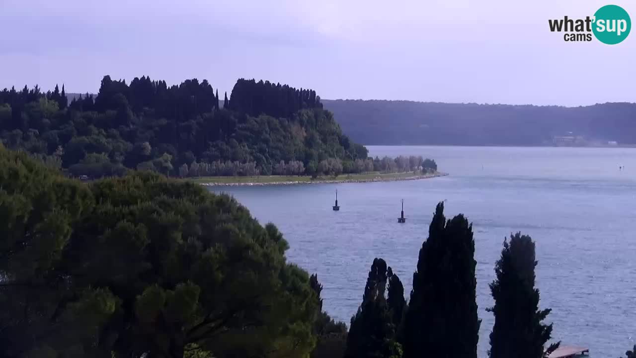 Kamera v živo Portorož – Panorama