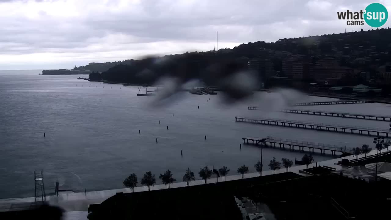 Live cam Portorož  Panorama