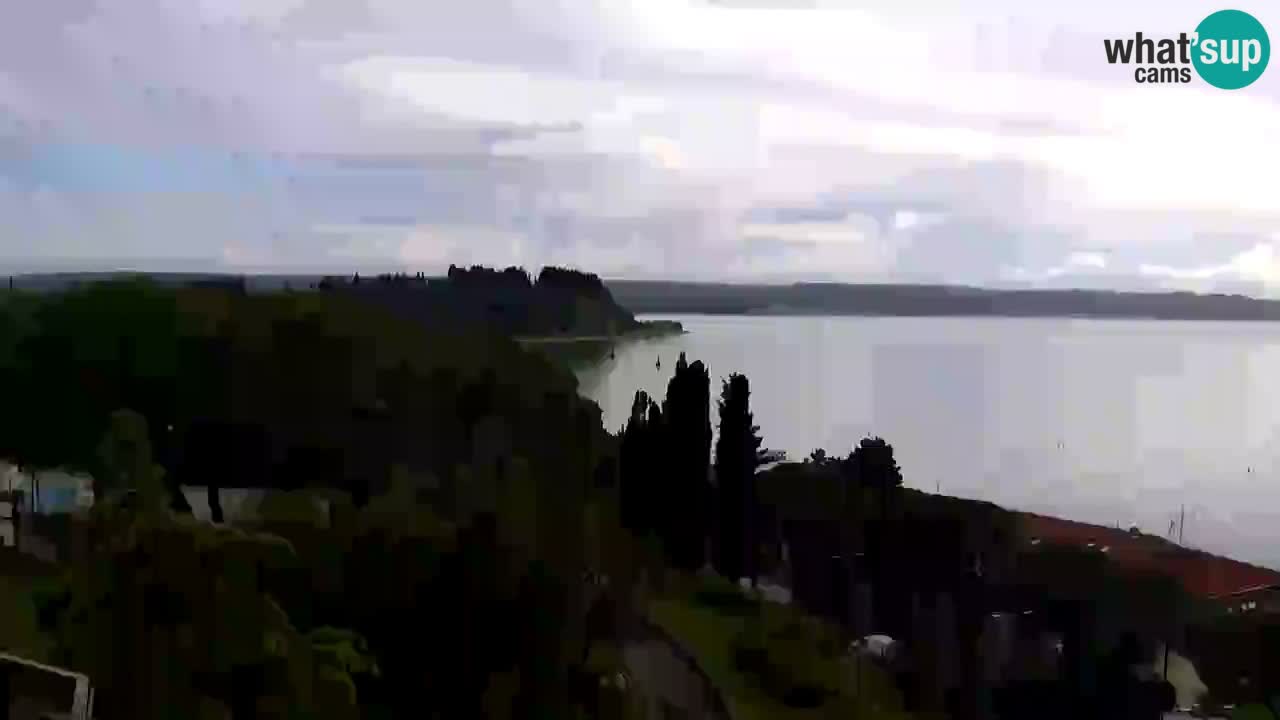 Live cam Portorož  Panorama