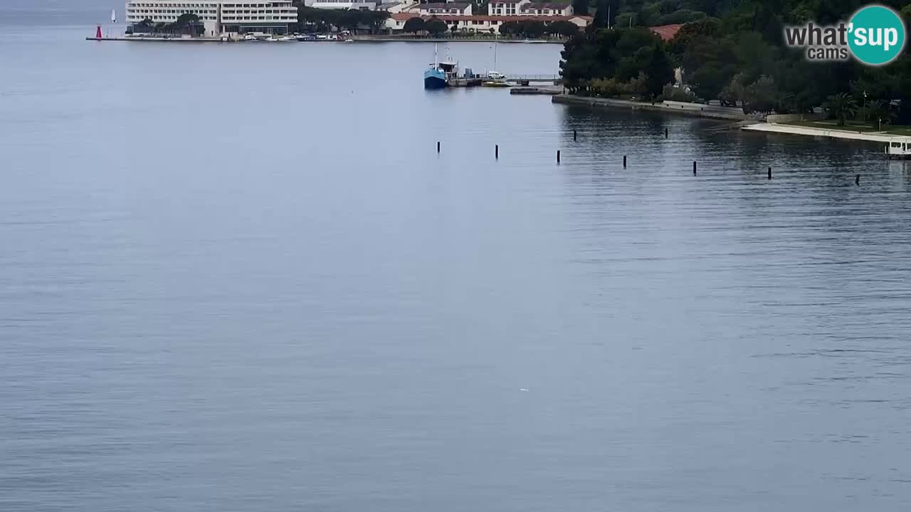 Web Kamera Portorož – Panorama