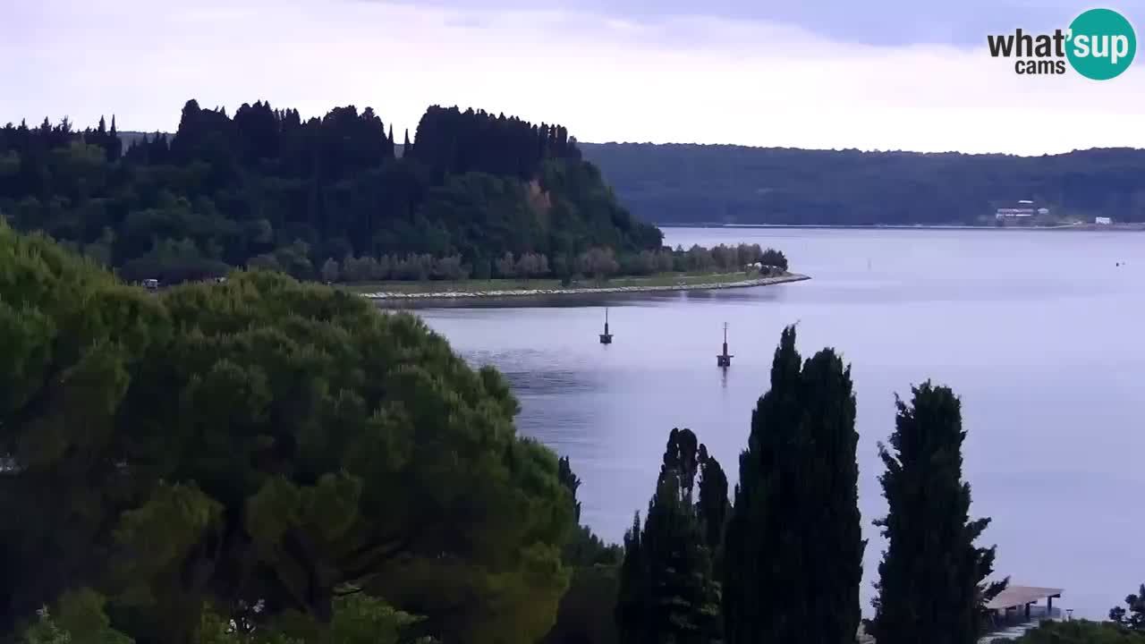 Kamera v živo Portorož – Panorama