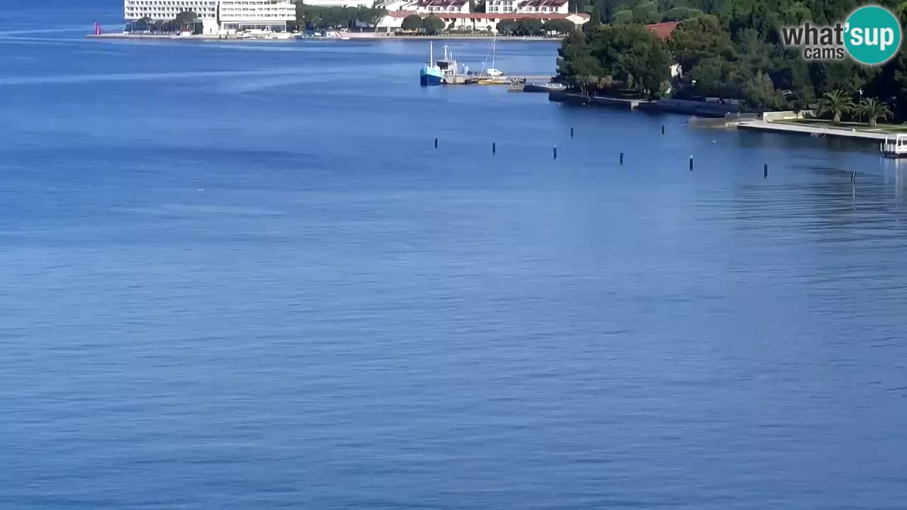 Webcam Portorož – Panorama
