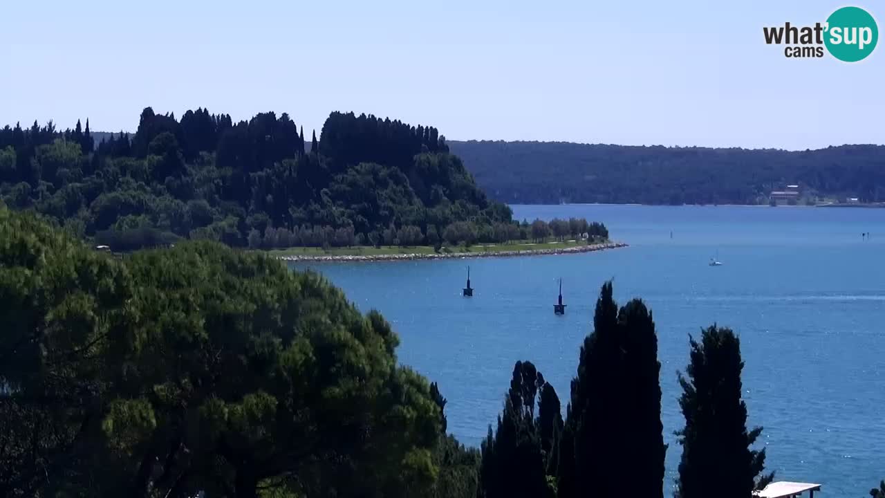 Live cam Portorož  Panorama