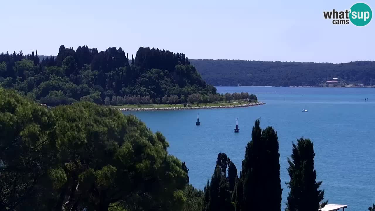 Kamera v živo Portorož – Panorama