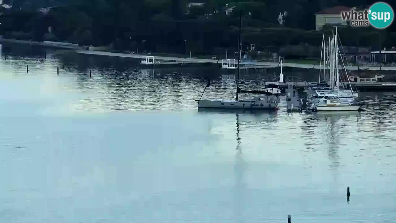 Live cam Portorož  Panorama