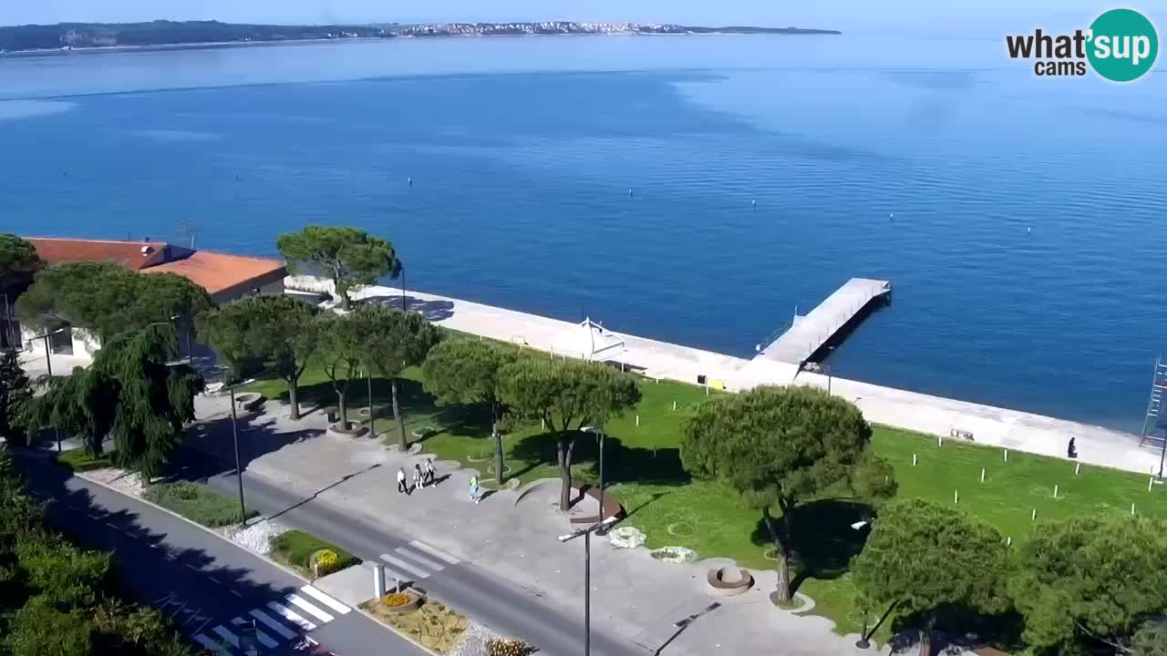 Camera en vivo Portorož – Panorama