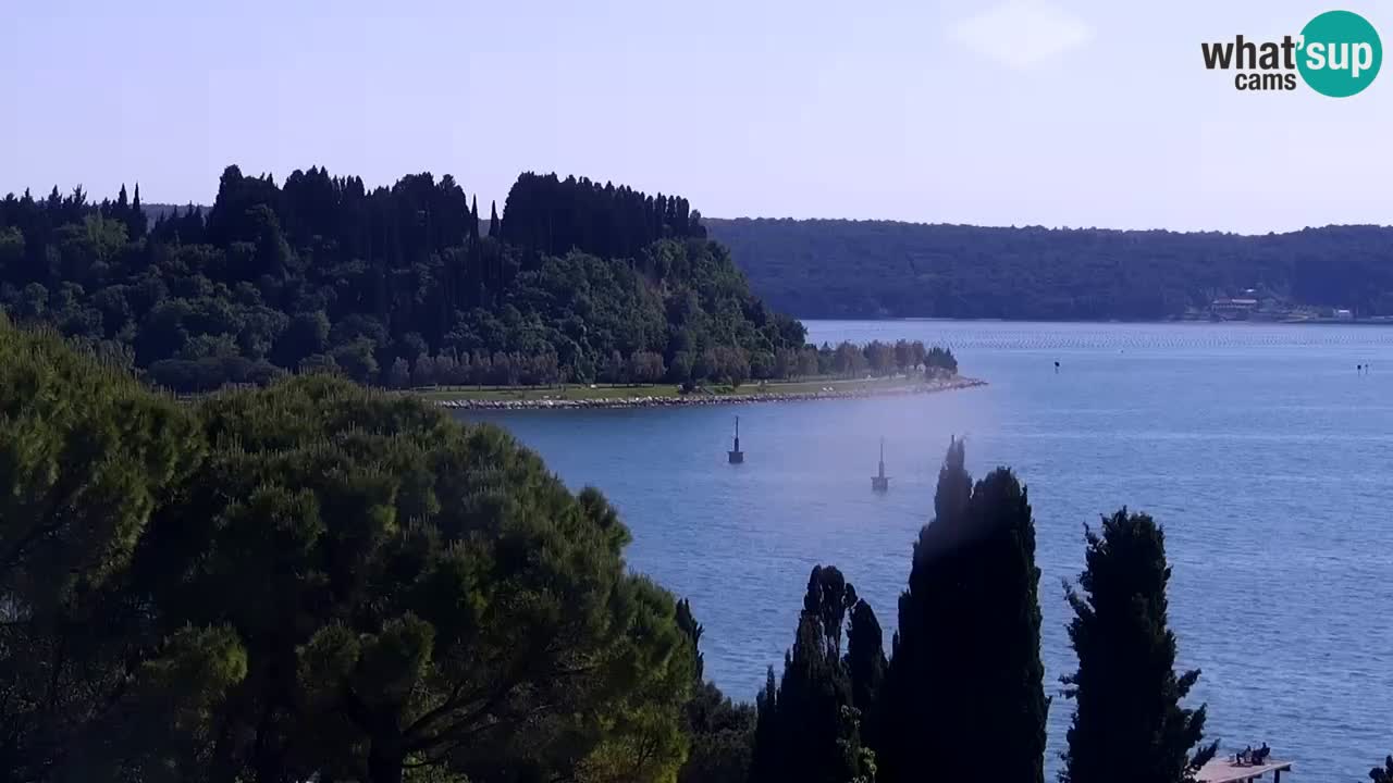 Live Cam Portorož – Panorama
