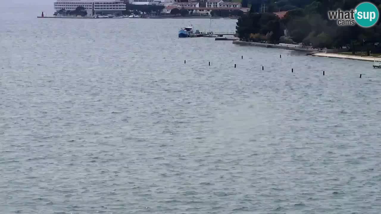 Kamera v živo Portorož – Panorama