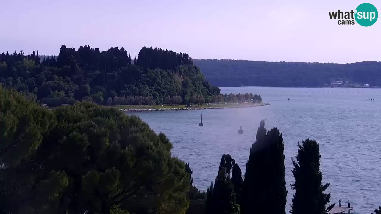 Portorož – panorama webcam