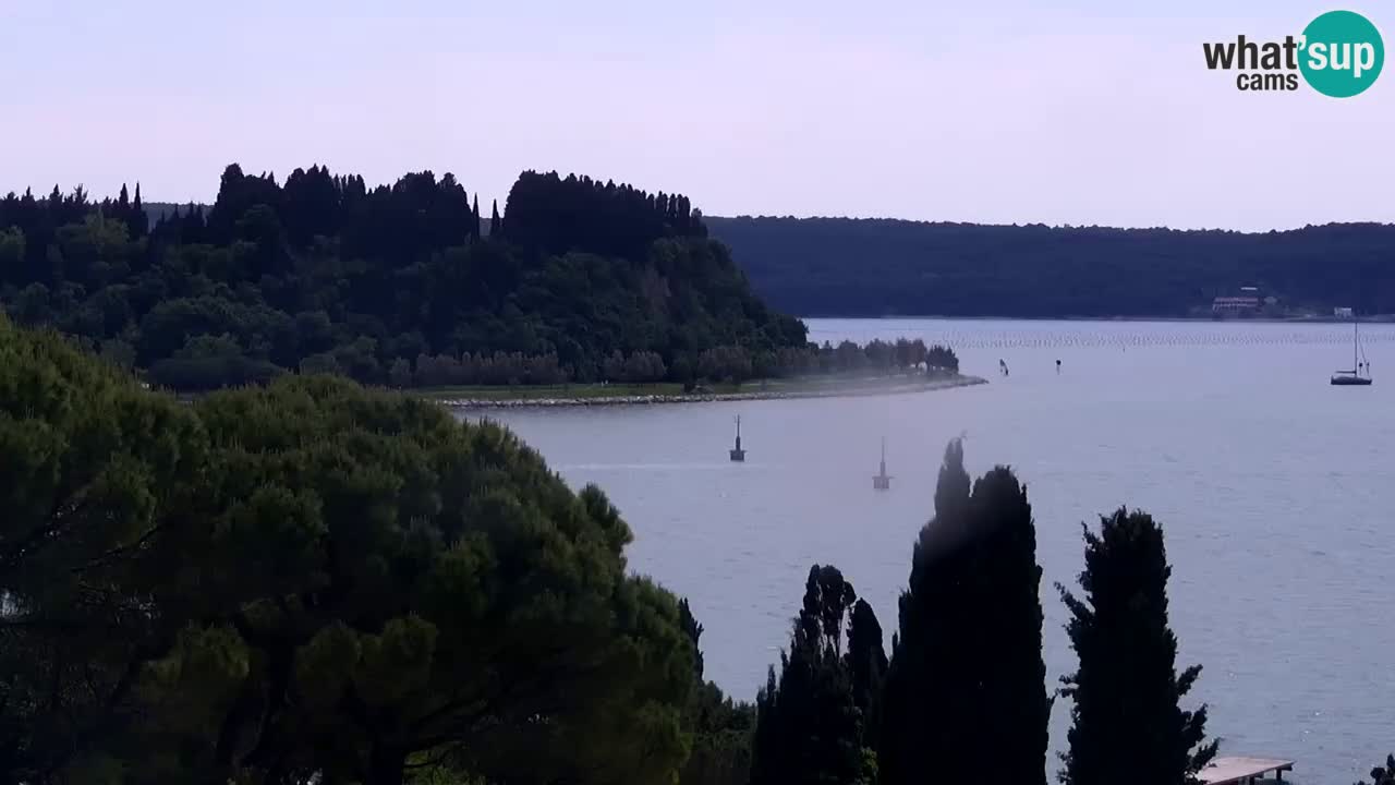 Kamera v živo Portorož – Panorama