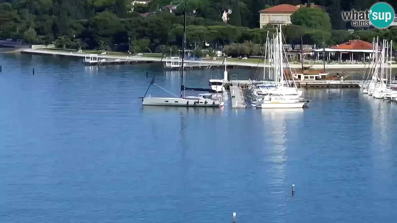 Portorož – panorama webcam