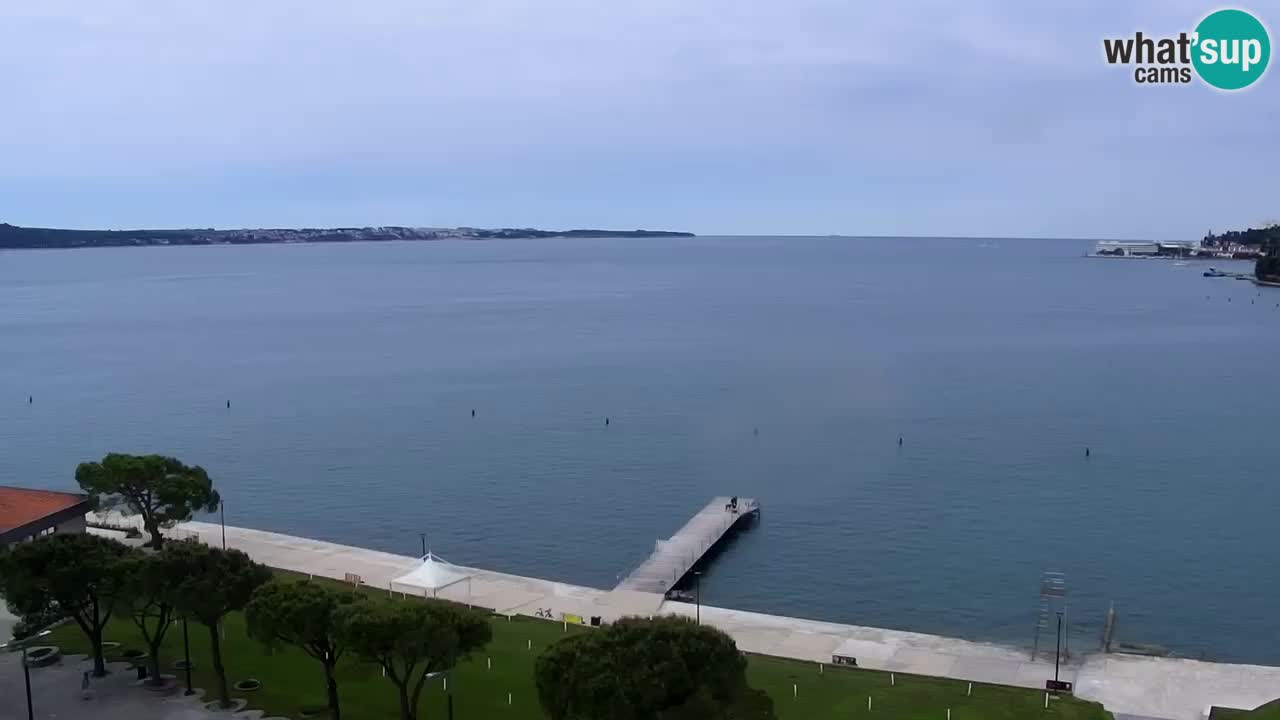 Live cam Portorož  Panorama